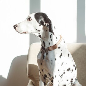 【革 首輪】オリジナル ヌメ ウーブン ハーフチョーク LL サイズ犬 首輪　犬首輪　大型犬　中型犬用　シンプルベーシック革首輪