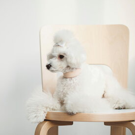 【犬 首輪】オリジナル ヌメ カラー ワイド SS サイズ　小型犬犬 首輪 おしゃれ 革 かわいい 中型犬 本革 犬首輪 犬の首輪 首輪 小型犬 皮 日本製 柴犬 チワワ トイプードル いぬ くびわ シンプル 犬用品 レザー 皮 カラー 犬用 カラー