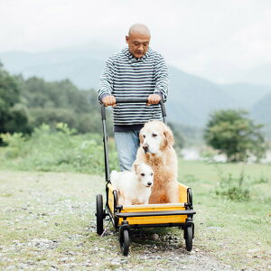 GAoM[tH[hbO LbW@{fB(LbW)PAirbuggy for dog Carriage GAoM[  J[g ^