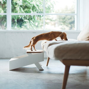 pecolo Pet Step ybgXebv