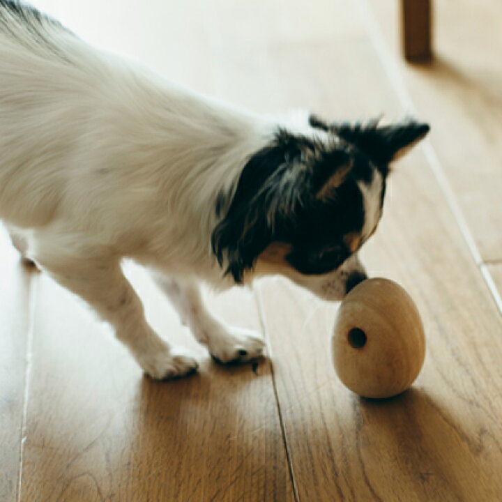 楽天市場 Replus リプラス 犬用 木製 知育おもちゃ たまごはん Free Stitch