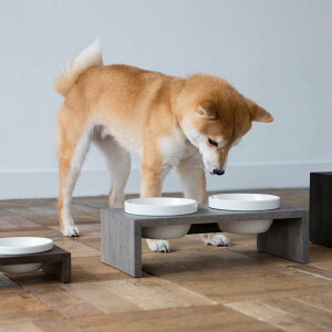 MESHIDAI GOHAN S _u@REPLUSvX@V_C@Sn@@hbO@t[h{E@foodbowl@dog@@@ؐ