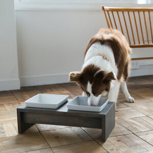 MESHIDAI MUKU@M _u@REPLUSvX@V_C@N@t[h{E@foodbowl