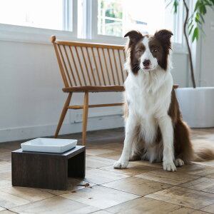 MESHIDAI MUKU@M VO REPLUS@V_CvX@V_C@N@@hbO@t[h{E@foodbowl@dog