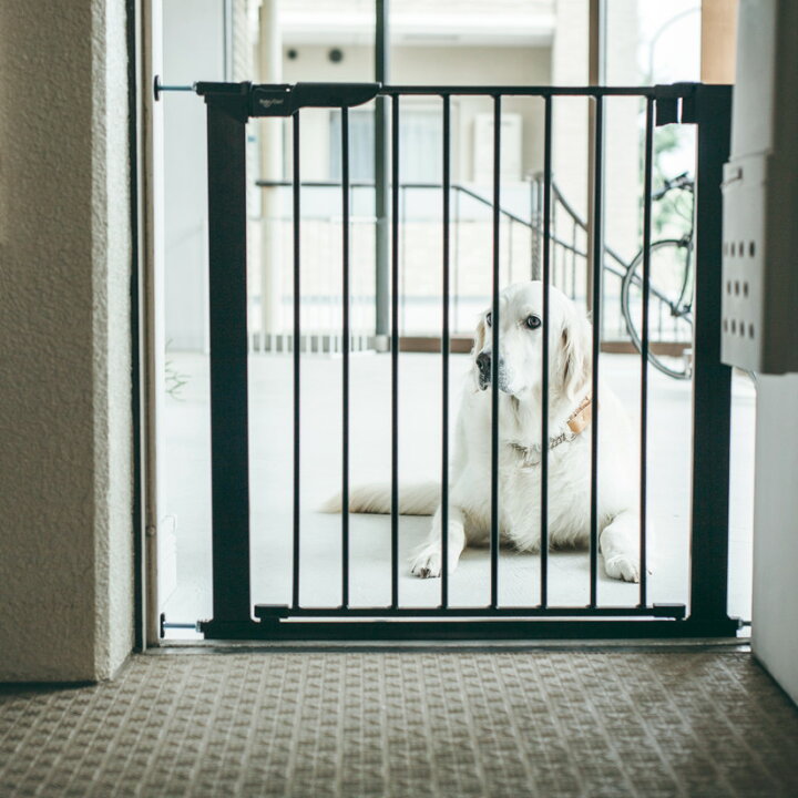 定番人気 スカンジナビアンペットデザイン ペットフェンス 壁突っ張り式犬用ゲート スタイリッシュでシンプルなデンマーク製の柵 スカンジナビアンペットフェンス 高級感 おしゃれなゲート 白 黒 ホワイト ブラック Fucoa Cl