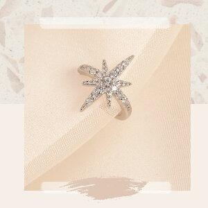 Silver925 X^[ C[Jt/18KGP AAAL[rbNWRjA  S[h Vv lC CtGT[ CX^  ANZT[ WG[ 킢 a v[g  