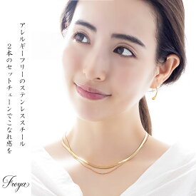 ステンレス 二連 スネークチェーン ネックレス/18KGP アレルギーフリー シンプル 人気 インフルエンサー インスタ おしゃれ アクセサリー ジュエリー かわいい 誕生日 プレゼント 女性 大人 上品 ワンポイント オフィス カジュアル 華奢 レディース 繊細