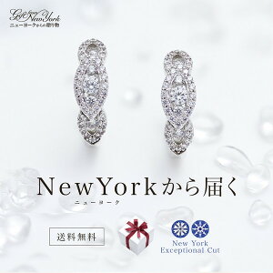 プラチナ フープピアス ブランドの人気商品 通販 価格比較 価格 Com プラチナ フープピアス ブランドの人気商品 通販 価格比較 価格 Com
