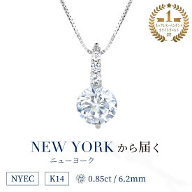 【祝★楽天1位受賞】ニューヨークから届く！ネックレス レディース ゴールド K14 14金 一粒 誕生日プレゼント 結婚記念日 女性 彼女 妻 嫁 金属アレルギー 安心 スワロフスキー より輝く ネックレス シンプル 大人 可愛い ブランド