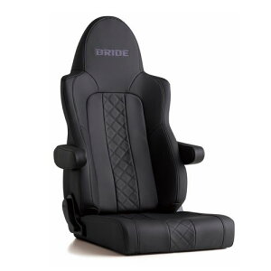 BRIDE ubh UIE ZAOU ^tU[ubN NCjOV[g L21TSR (ꕔn揜)