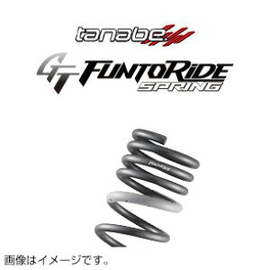 TANABE ^ix JX^XvO GT FUNTORIDE SPRING W[eB[ t@gCh XvO VrbNTYPE-R FL5 2022/9- FK8FK (ꕔn揜)