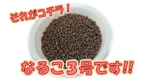 ツツジ 用土の人気商品 通販 価格比較 価格 Com ツツジ 用土の人気商品 通販 価格比較 価格 Com