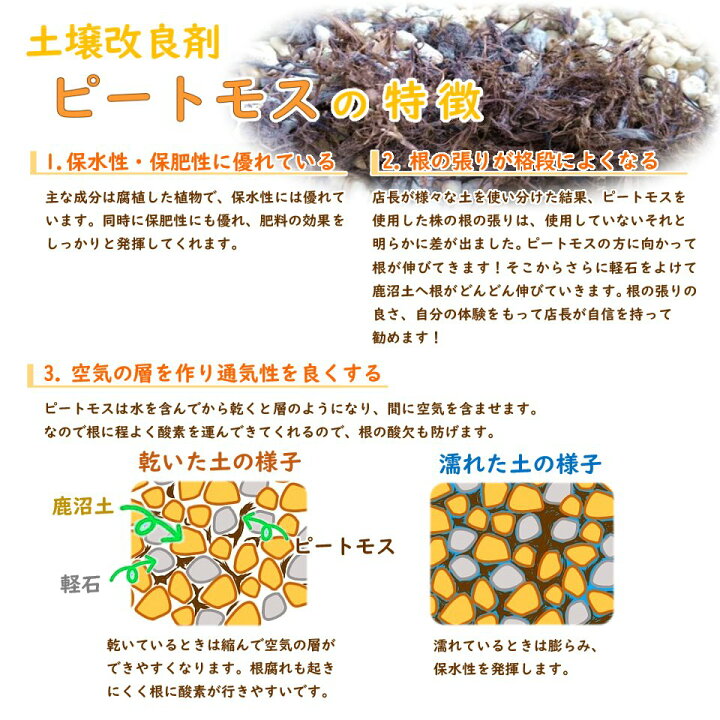 楽天市場】【土壌改良剤】ピートモス『粗目』大容量の50L! 【1袋】 pH無調整 北海道産 国産 根の張りが段違い!伸縮性があり、通気性バツグン! 他の土壌改良材と混ぜ合わせての使用をおすすめします 大型商品の為同梱不可 : 富士園芸楽天市場店 楽天市場】【土壌改良剤】ピートモス『粗目』大容量の50L! 【1袋】 pH無調整 北海道産 国産 根の張りが段違い!伸縮性があり、通気性バツグン! 他の土壌改良材と混ぜ合わせての使用をおすすめします 大型商品の為同梱不可 : 富士園芸楽天市場店