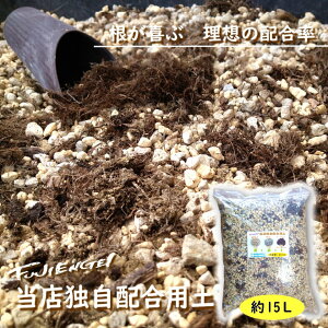 y XƎzpy 15LzyijEy΁ijEs[gXij𓖓XƎ̔zō킹܂I ̒肪iiɂ悭ȂI
