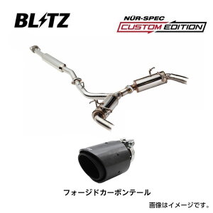 iꕔj BLITZ ubc }t[ NUR-SPEC CUSTOM EDITION z_ VrbN ^CvR FL5 63206F