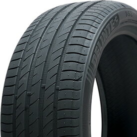 【4本セット 送料無料】 DELINTE デリンテ DS2(限定) 225/60R17 99H 夏タイヤ サマータイヤ 単品
