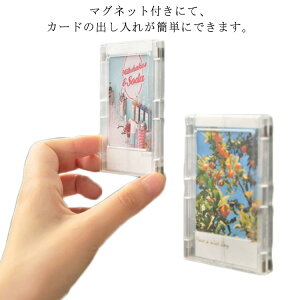 g[fBOJ[hP[X ~jTCY ACh ؍ AN }Olbg z_[ [ RpNg ؗ K-POP NAP[X