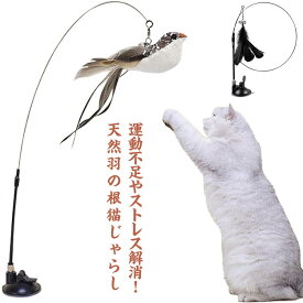 おもちゃ ペット用品 キャット 猫用品 羽のおもちゃ 猫用品 ねこじゃらし 鳥おもちゃ 猫 猫おもちゃ 天然羽根 おもちゃ 人気 吸盤式 一人遊び 守番対応 運動不足解消 ストレス解消 手持ち・吸着可能！猫じゃらし