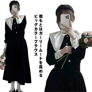  rbOJ[uEX gbvX fB[X uEX Vc gbvX xAuEX rbNJ[ 傫 tg{^  ptX[u n xA 20 30  OL 