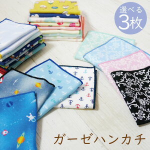K[[ nJ` yIׂ3Zbgz { 100 10.5cm×20cm q j̎q ̎q 킢 6dK[[ ɗD |Pbgɓn[t nJ`^I 1000~|bL ۈ牀 ct