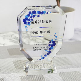 表彰盾 名入れ 企業表彰 社内表彰 取引先表彰 記念品 ガラス クリスタルガラス dp-2