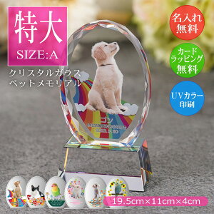 킢 ybgA NX^ I[o`ijtHgX^h ʐ^  EFJLO AObY I[_[Ch a LO vo  L  CR nX