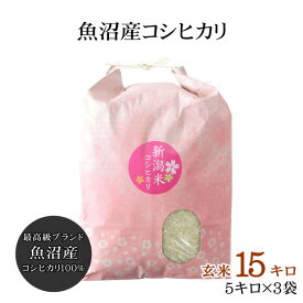 魚沼産 コシヒカリ 玄米 15kg（5kg×3袋） 新潟 魚沼産こしひかり 産地直送 お祝い ギフト 贈答 ご自宅 ご家庭 お弁当にも 新米