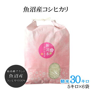 �V�� �ߘa7�N�Y �싛���Y �R�V�q�J�� ���� 30kg�i5kg×6�܁j �V�� �����Y�����Ђ��� �����Y �v���~�A���� �V���Y �Y�n���� ���j���A�M�t�g�A������ ������A���ƒ�A���ٓ��ɂ� �V��