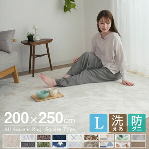 洗える ラグ オールシーズン 200×250 北欧 ラグマット 滑り止め付 マット ラグカーペット 夏 冬 カーペット ホットカーペット対応 フランネル ウォッシャブル 絨毯 リビング 床暖房対応 A703