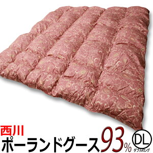  Hѕzc@샊rO @|[hO[X_E93HѕzcA141DLi_uTCY j