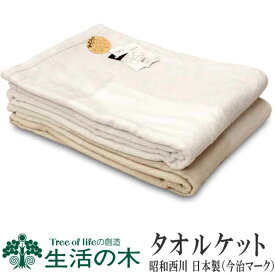 楽天市場 タオルケット 正方形の通販