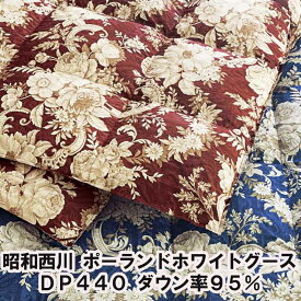 昭和西川 羽毛布団 ポーランド産 ホワイト グース ダウン 95％ シングルサイズ GE2108
