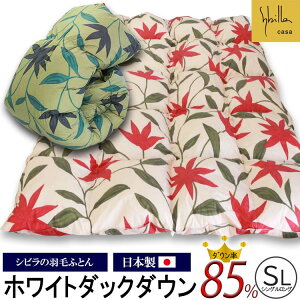 { Vr Hъ|ӂƂ zCg_bN_E85% VOOTCY 150×210cm@sybillacasa t[X