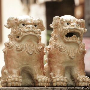 V[T[i΁jyzFCzF059023