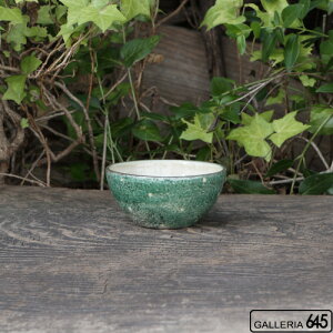 ちょこっと小鉢(緑ドット):ポープ奈美:066074