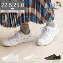 【20%OFF】 アーノルドパーマー Arnold Palmer スニーカー レディース 軽量 ローカット コートシューズ ロゴ 紐靴 レースアップ シンプル 白 黒 ホワイト ブラック フラット 通勤 通学 アルバイト