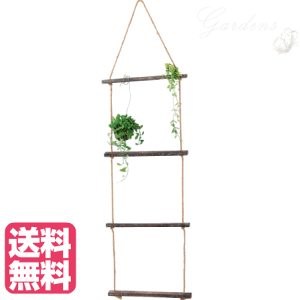 re[W[v_[ fBXvC A  CeA VRf ǖʉo ChAO[ CeAO[ vc   t@ubNX yz ssgoods ǖ 