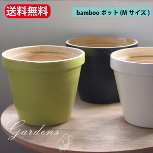 yԌGg[P10{MAX10OFFN[|zou[v^[ Aؔ SPIN BAMBOO POT  A MTCY ϗtA  F  ͔| v[g Mtg  K[fjO Ȃ 
