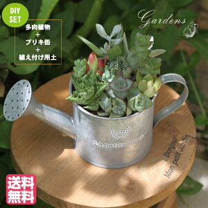 【マラソン期間限定エントリーでさらにP5倍】多肉植物 カット 苗 植物 ブリキジョーロ 多肉植物用土 寄せ植え セット 自分で作る おうち時間 インドアグリーン 観葉植物 ミニサイズ 詰め合