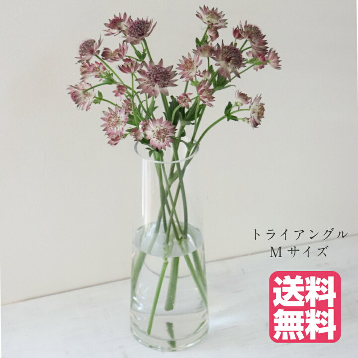 楽天市場 花瓶 ｍサイズ トライアングル フラワーベース お花 飾る ガラス インテリア リビング シンプル 送料無料 Gardens ガーデンズ