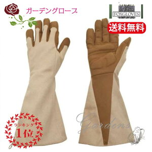 yGg[ŁIvXP5{ztHbNX@O[u@op fox O[u KEgbg coffee R[q[ o  KN  낵 K[fjO Mtg ̓ v[g ̓ C