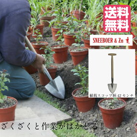 楽天市場 スコップ 大の通販