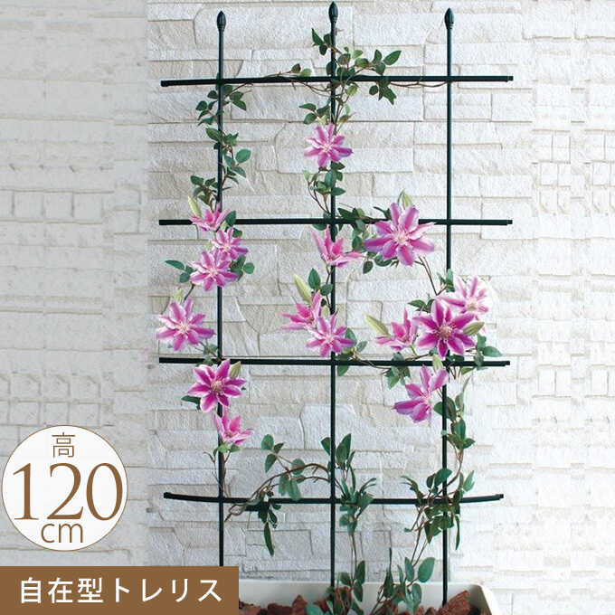園芸 お花のアスレチック トレリス 自由型 高さ120cm ガーデニング 家庭 菜園 庭 ベランダ 簡単 設置 組立 | ガーデン用品屋さん