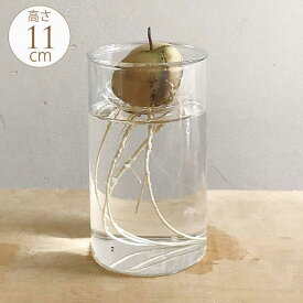 水耕栽培 ガラスベース 高さ11cm 球根 栽培 フラワーベース 球根用 花瓶 ガラス ハイドロカルチャー 室内 インテリア 北欧 シンプル 韓国