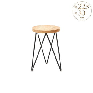 ₳ }S[Ebh v^[X^h T[N 30cm ԑ X^h v^[X^h AeB[N ACA u v^[`FA O   K[fbN v^