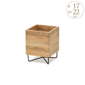 ₳ }S[Ebh v^[X^h L[u Rr 22cm ԑ X^h v^[X^h AeB[N ACA u v^[`FA O   K[fbN v