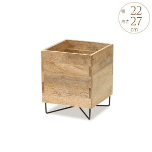 ₳ }S[Ebh v^[X^h L[u Rr 22cm ԑ X^h v^[X^h AeB[N ACA u v^[`FA O   v^[bN 