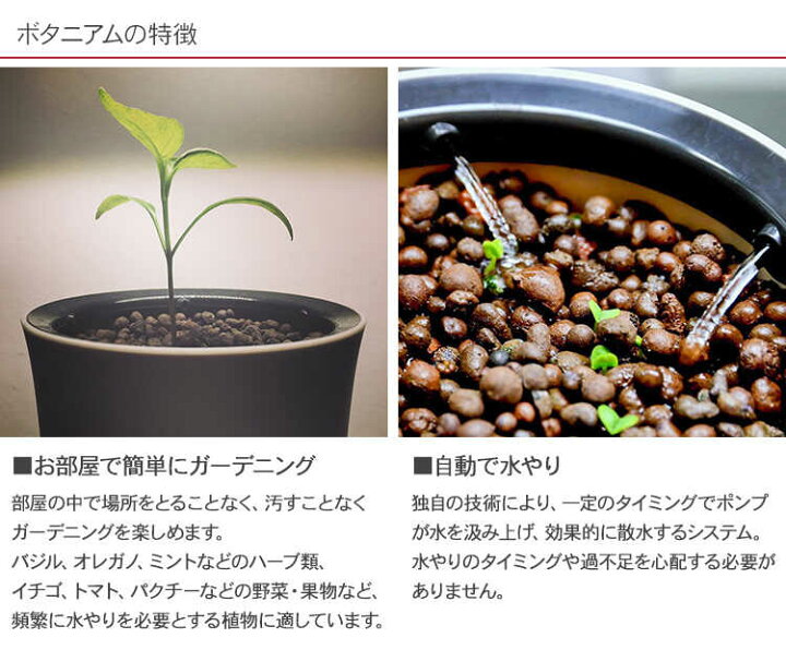 楽天市場 Botanium ボタニアム ハイドロカルチャー 0 7l Led 水耕栽培 観葉植物 花 野菜 ハーブ 家庭菜園 簡単 おしゃれ 北欧 知育 自由研究 ハイドロボール エコ 省エネ 日光不要 手間いらず ガーデン用品屋さん