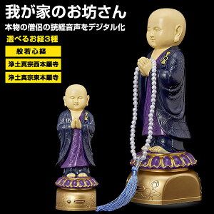 yVX[p[SALE 9/4 20:00 - 9/11 1:59 䂪Ƃ̂V o d TVЉ WIЉ y^@ ʎSo  { ǌo [̂Ƃ ^ A  Zbg|d ^d dZbg