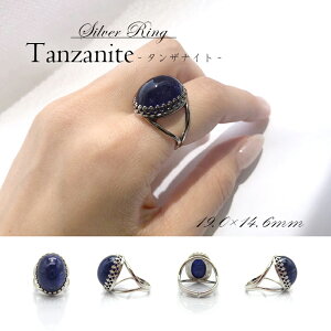 yz^UiCgO ^UiCgu[]CTCg D z ^UjAY Tanzanite F 12a eBt@j[ O Vo[O t[TCY J[Xg[